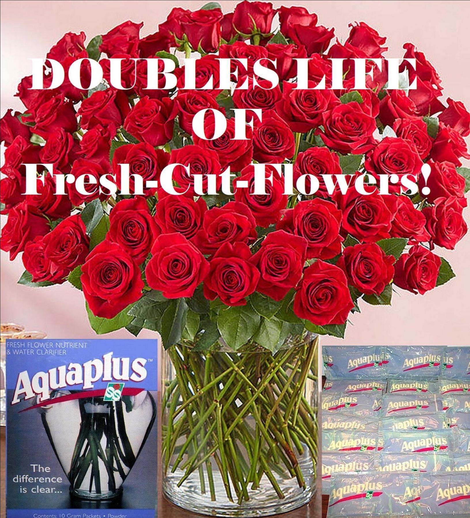 20 Packages AQUAPLUS Fresh-Cut Flower PRESERVATIVE - Keeps Flowers in Vase Alive 2 Times LONGER! Excellent Product!