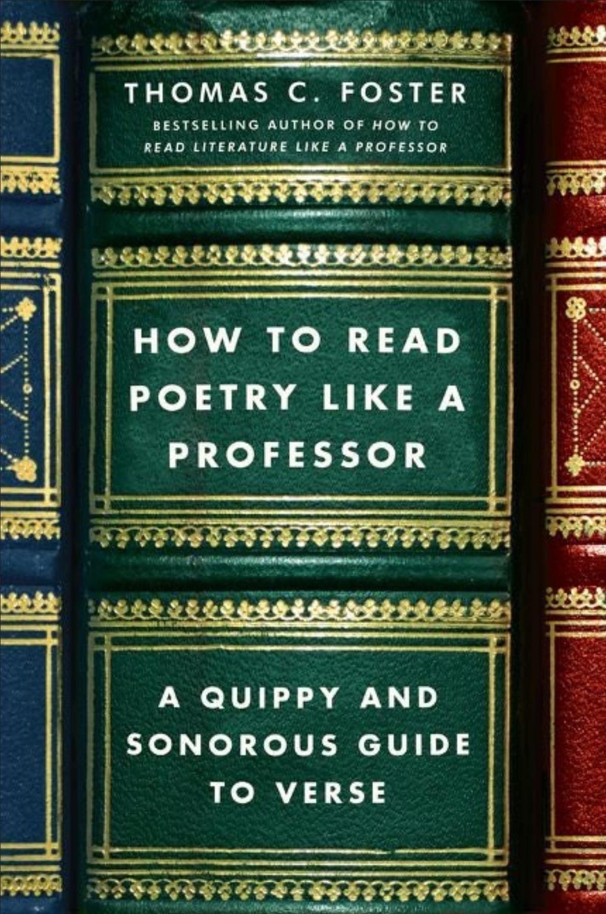How To Read POETRY LIKE A PROFESSOR-Mint Condition Book! Etsy Best Price! Perfect Gift for Students of Poetry!