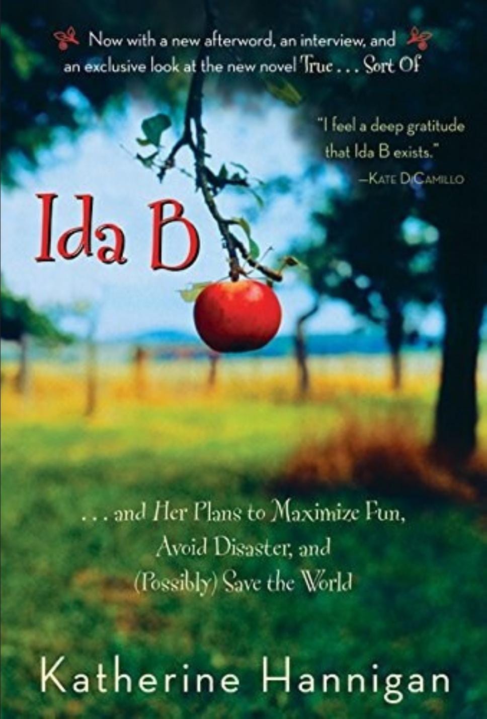 IDA B By Katherine Hannigan -New Book! Etsy Best Price! PERFECT Gift for Readers Ages 8-12 Years Old!
